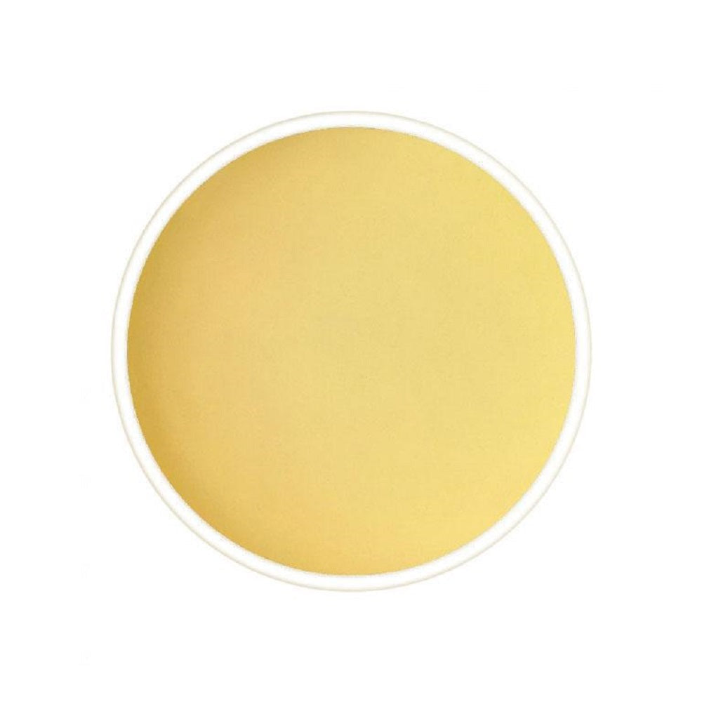 Chabessey Silver Needle White Tea - TeaSwan