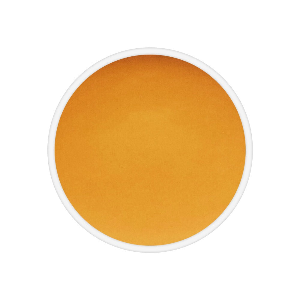 Ayurvedic Fasting Tea