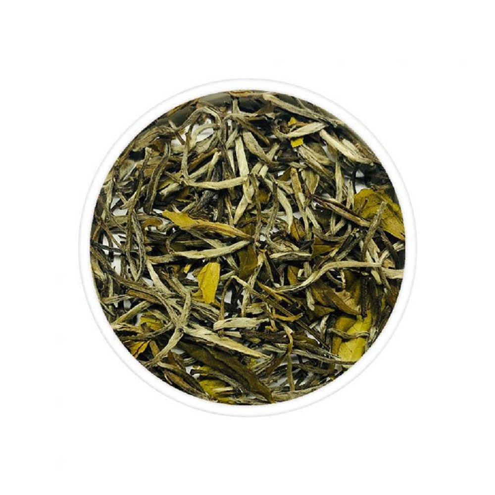 Chabessey Silver Needle White Tea - TeaSwan